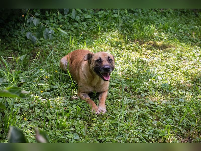 Greta: Liebenswerter Schatz