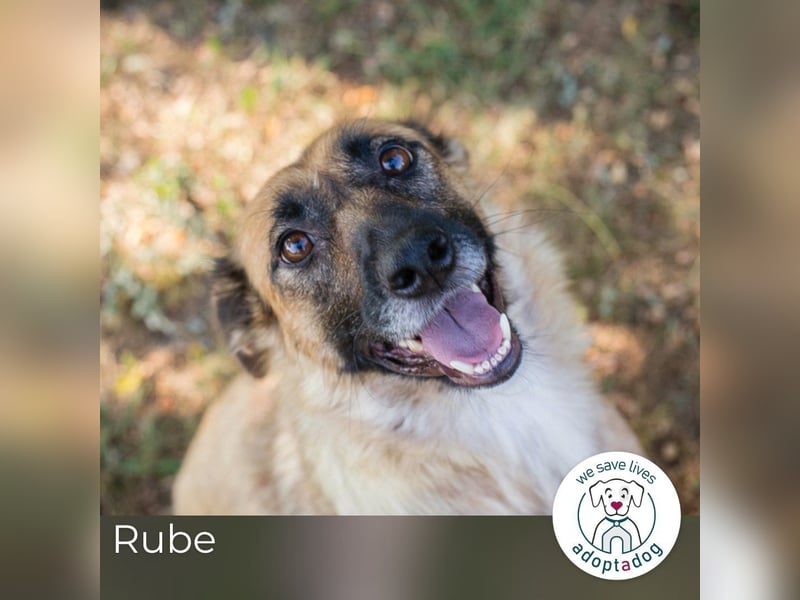 Rube: Liebevolle Begleiterin