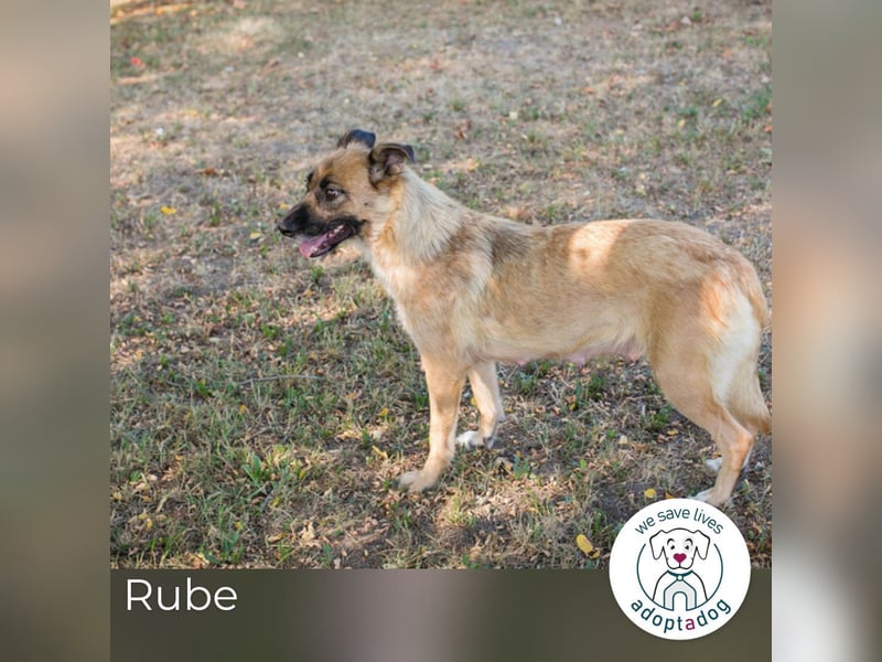 Rube: Liebevolle Begleiterin