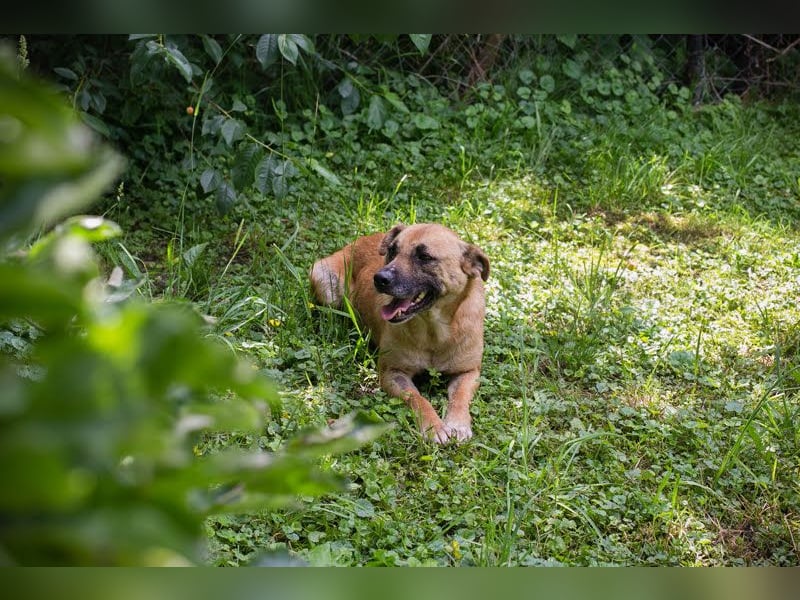 Greta: Liebenswerter Schatz