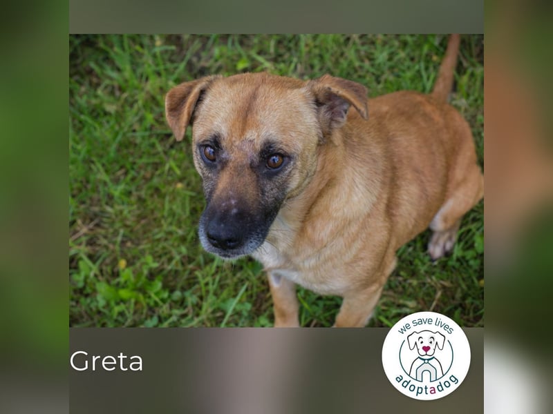 Greta: Liebenswerter Schatz