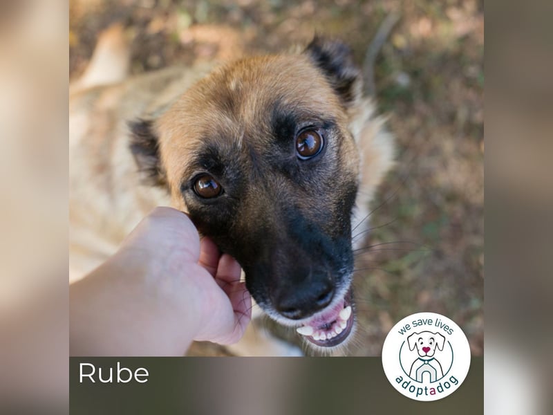 Rube: Liebevolle Begleiterin