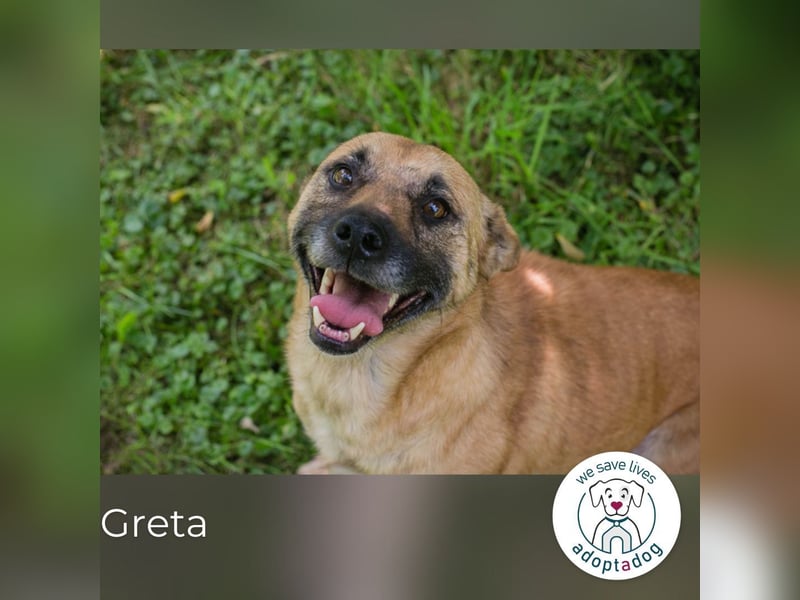 Greta: Liebenswerter Schatz