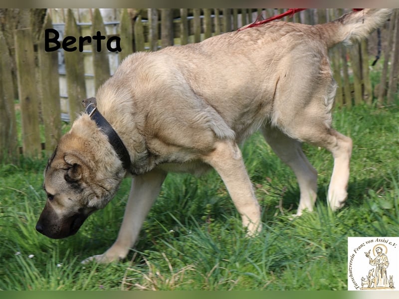 Berta – liebevolles big girl