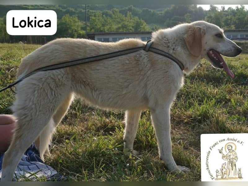 Lokica – Neugierig auf die Welt und auf dich!