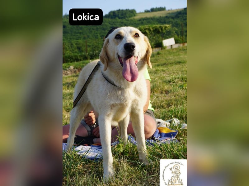 Lokica – Neugierig auf die Welt und auf dich!