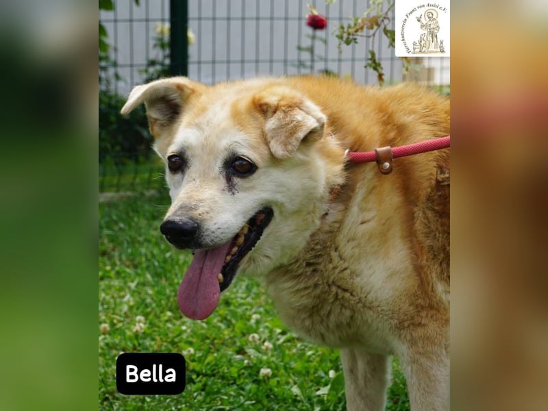 Bella – 15 Jahre Leben, Liebe gesucht fürs große Finale!