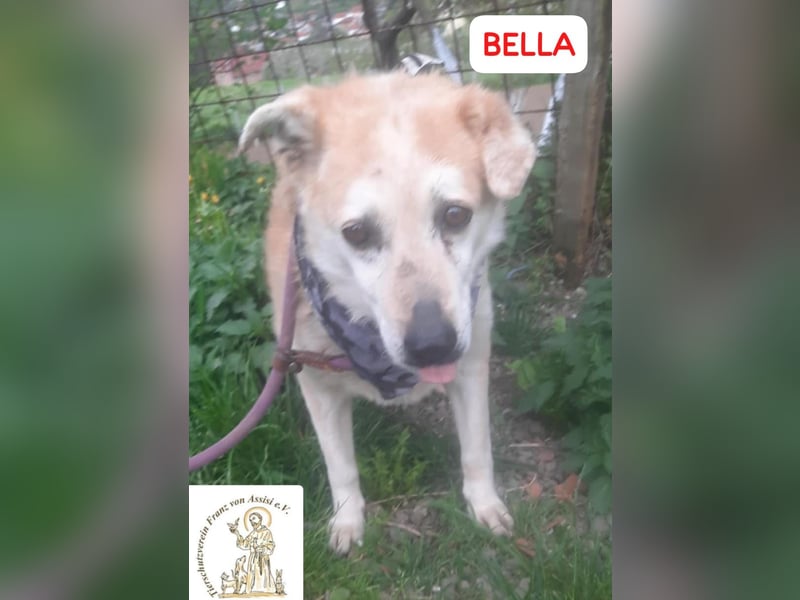 BELLA – wer zaubert ihr Lächeln zurück?