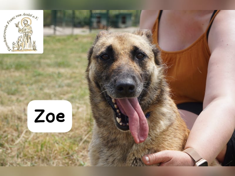 Zoe – Ein Wirbelwind? Nein. Ein Sonnenschein mit Schubkraft!
