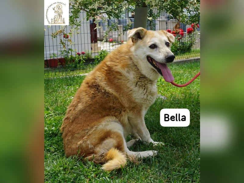 Bella – 15 Jahre Leben, Liebe gesucht fürs große Finale!