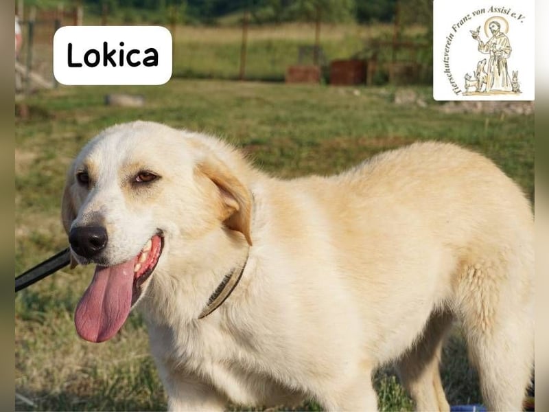 Lokica – Neugierig auf die Welt und auf dich!