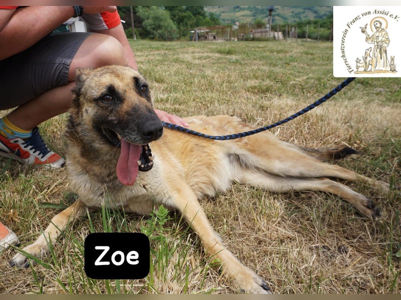 Zoe – Ein Wirbelwind? Nein. Ein Sonnenschein mit Schubkraft!