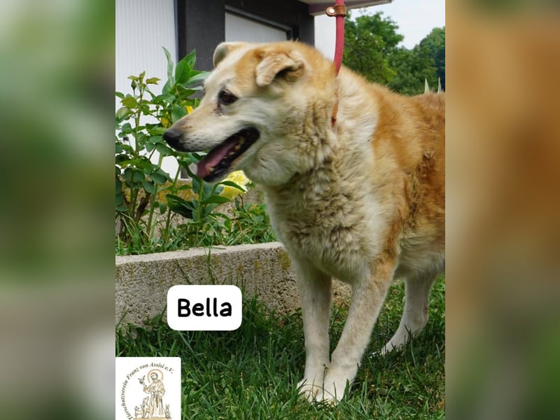 Bella – 15 Jahre Leben, Liebe gesucht fürs große Finale!
