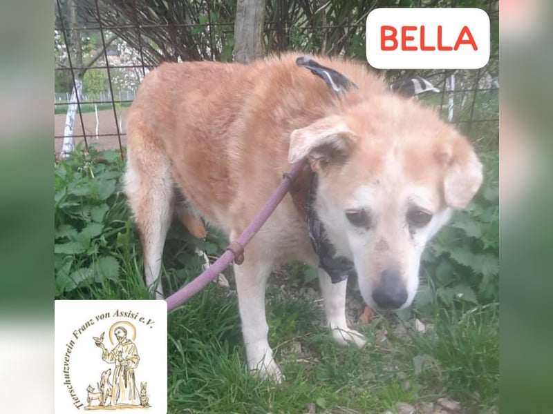 BELLA – wer zaubert ihr Lächeln zurück?