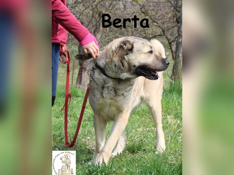 Berta – liebevolles big girl