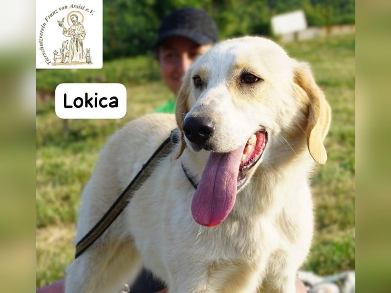 Lokica – Neugierig auf die Welt und auf dich!