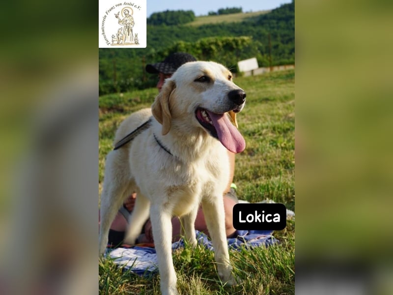 Lokica – Neugierig auf die Welt und auf dich!