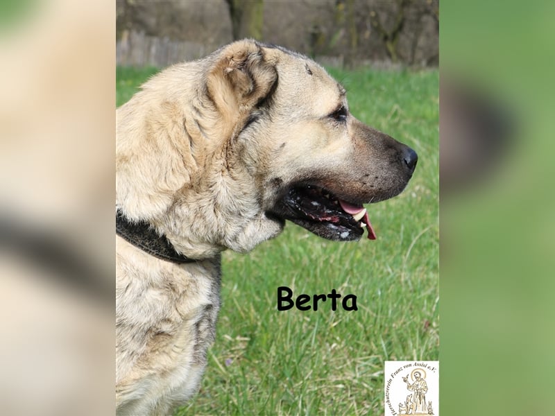 Berta – liebevolles big girl