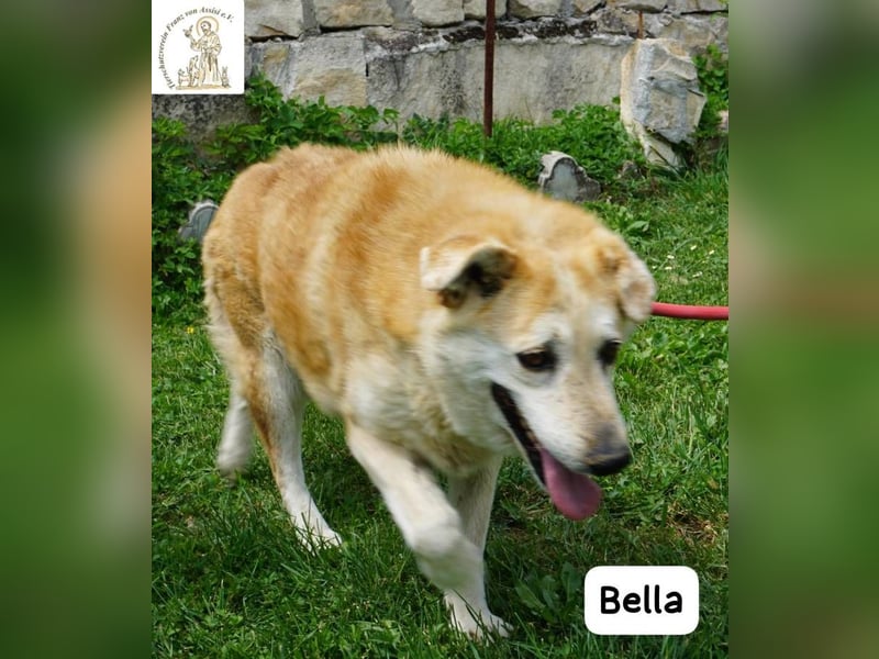 Bella – 15 Jahre Leben, Liebe gesucht fürs große Finale!