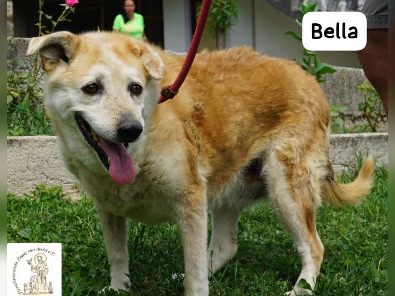 Bella – 15 Jahre Leben, Liebe gesucht fürs große Finale!