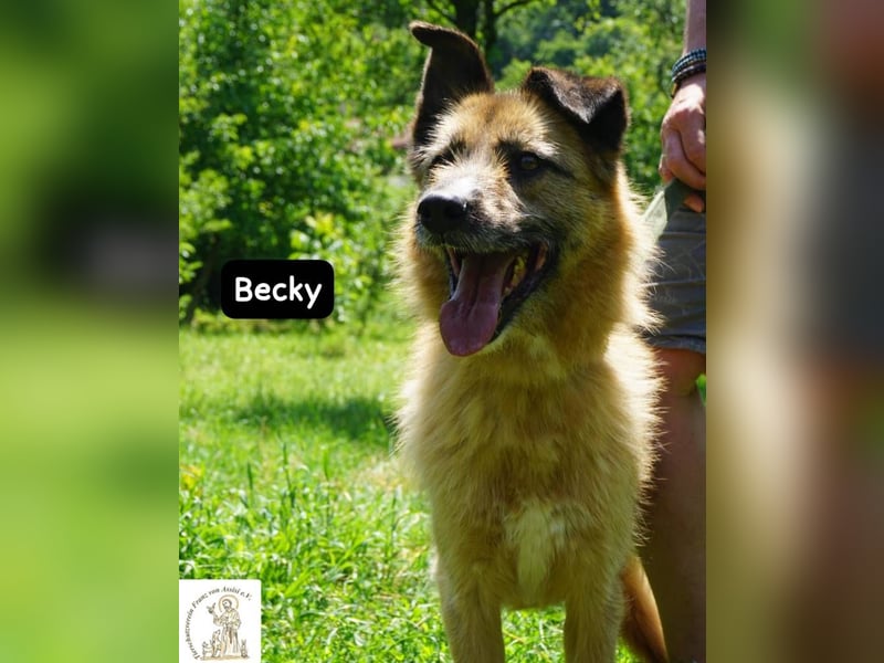 Becky – Eine Lady zum Verlieben, so schön wie das Leben selbst!