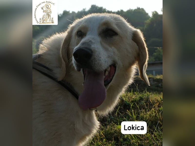 Lokica – Neugierig auf die Welt und auf dich!