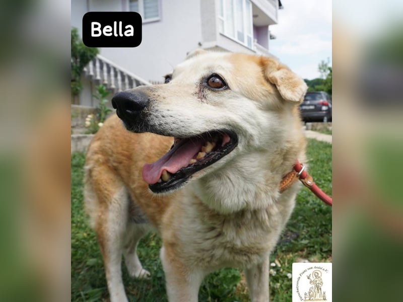 Bella – 15 Jahre Leben, Liebe gesucht fürs große Finale!