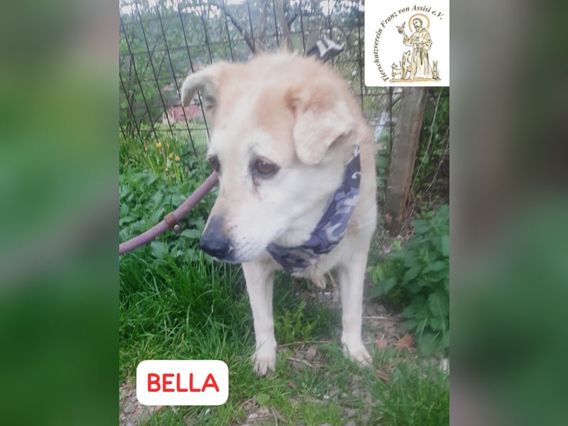 BELLA – wer zaubert ihr Lächeln zurück?