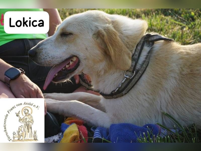 Lokica – Neugierig auf die Welt und auf dich!