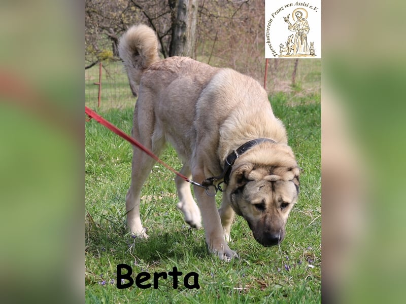 Berta – liebevolles big girl