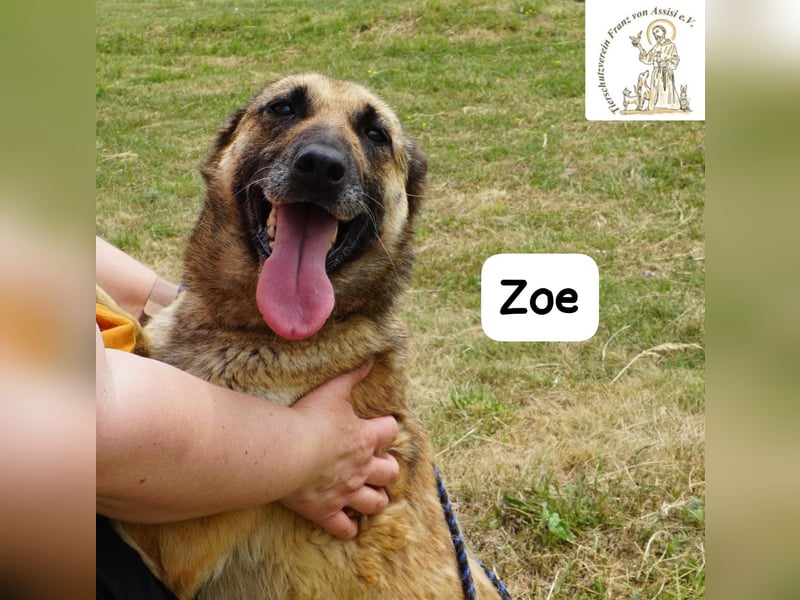 Zoe – Ein Wirbelwind? Nein. Ein Sonnenschein mit Schubkraft!