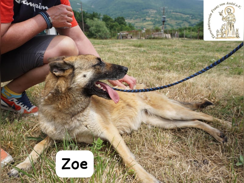 Zoe – Ein Wirbelwind? Nein. Ein Sonnenschein mit Schubkraft!