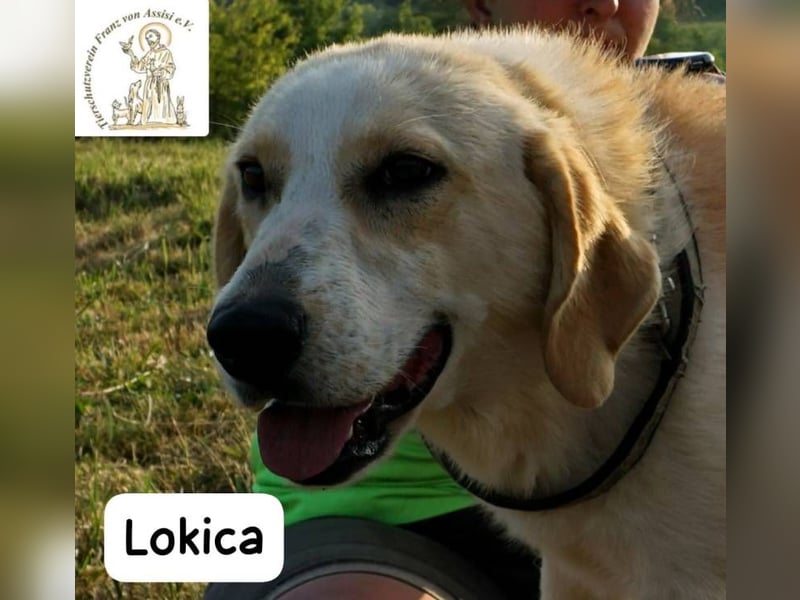 Lokica – Neugierig auf die Welt und auf dich!