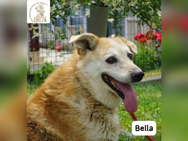 Bella – 15 Jahre Leben, Liebe gesucht fürs große Finale!