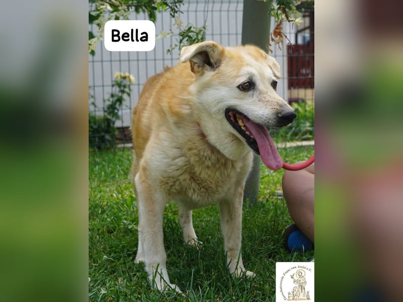 Bella – 15 Jahre Leben, Liebe gesucht fürs große Finale!