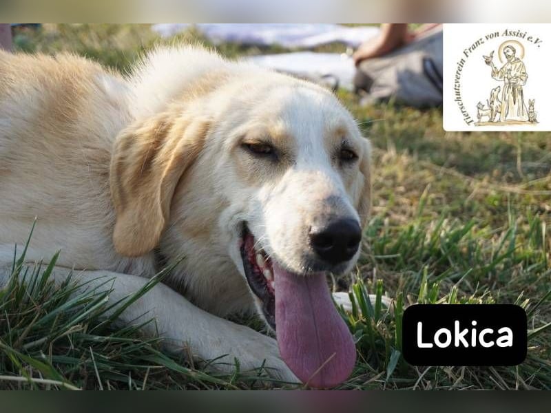 Lokica – Neugierig auf die Welt und auf dich!