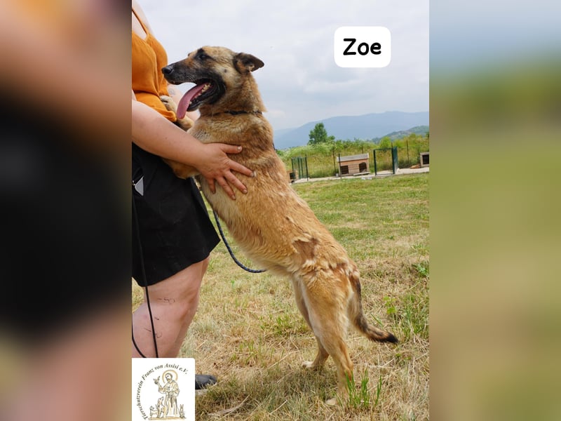 Zoe – Ein Wirbelwind? Nein. Ein Sonnenschein mit Schubkraft!