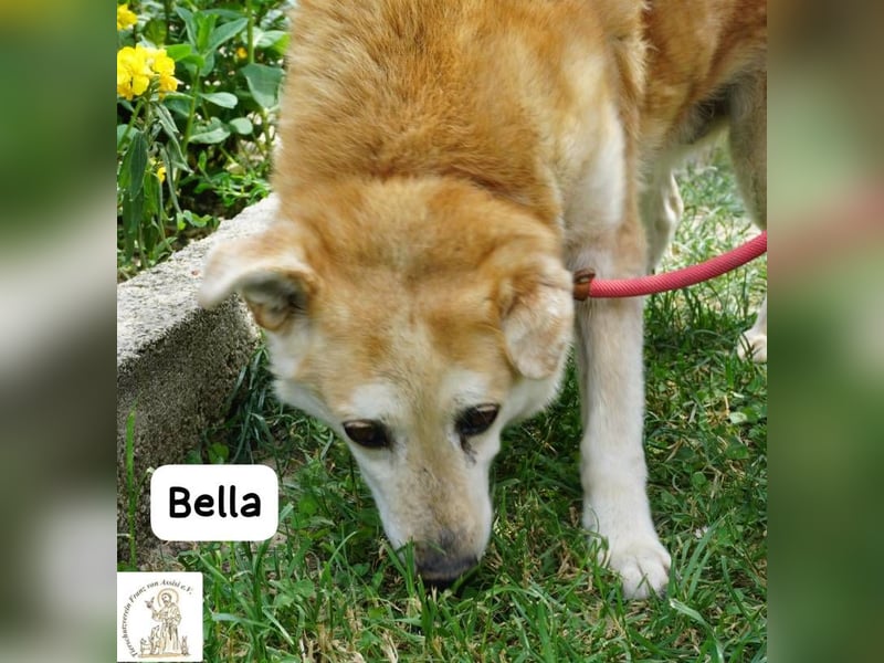 Bella – 15 Jahre Leben, Liebe gesucht fürs große Finale!