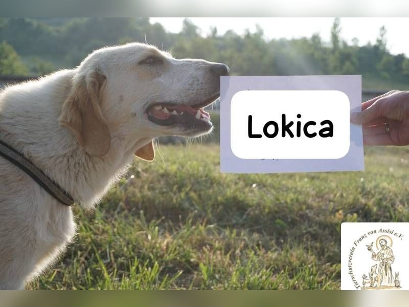 Lokica – Neugierig auf die Welt und auf dich!