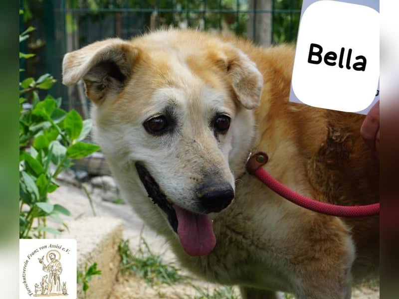 Bella – 15 Jahre Leben, Liebe gesucht fürs große Finale!
