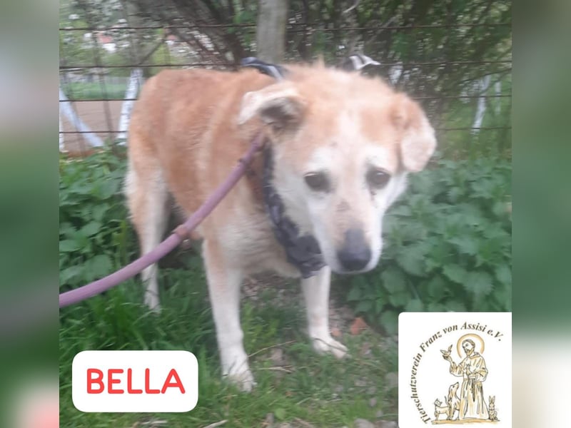 BELLA – wer zaubert ihr Lächeln zurück?