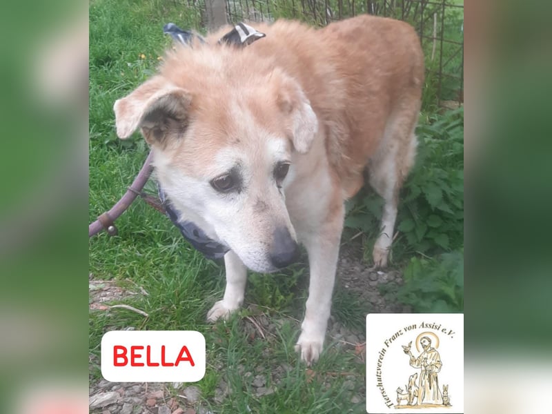 BELLA – wer zaubert ihr Lächeln zurück?