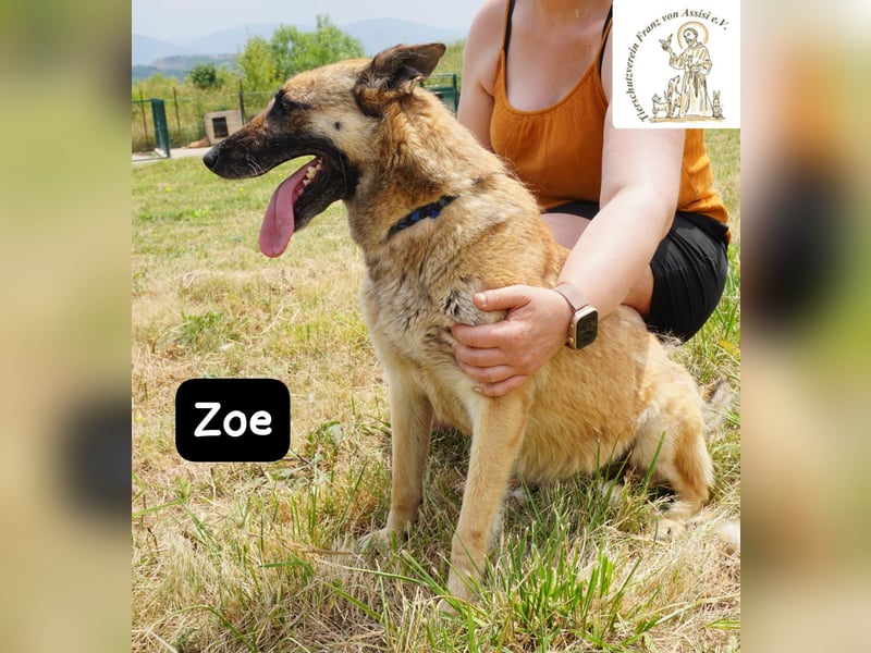 Zoe – Ein Wirbelwind? Nein. Ein Sonnenschein mit Schubkraft!