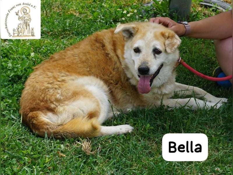 Bella – 15 Jahre Leben, Liebe gesucht fürs große Finale!