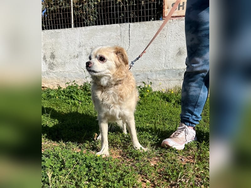 Omi Zorina sucht Endstelle!