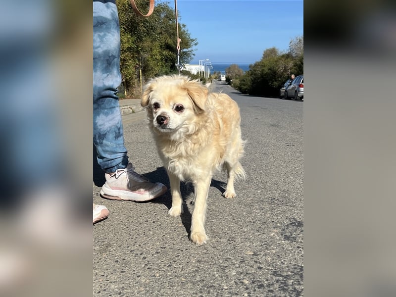 Omi Zorina sucht Endstelle!