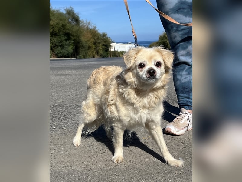 Omi Zorina sucht Endstelle!