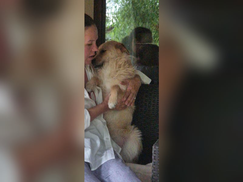 Missy - sanfte Schmusemaus sucht ihr Zuhause