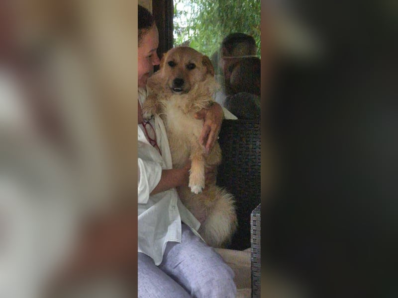 Missy - sanfte Schmusemaus sucht ihr Zuhause
