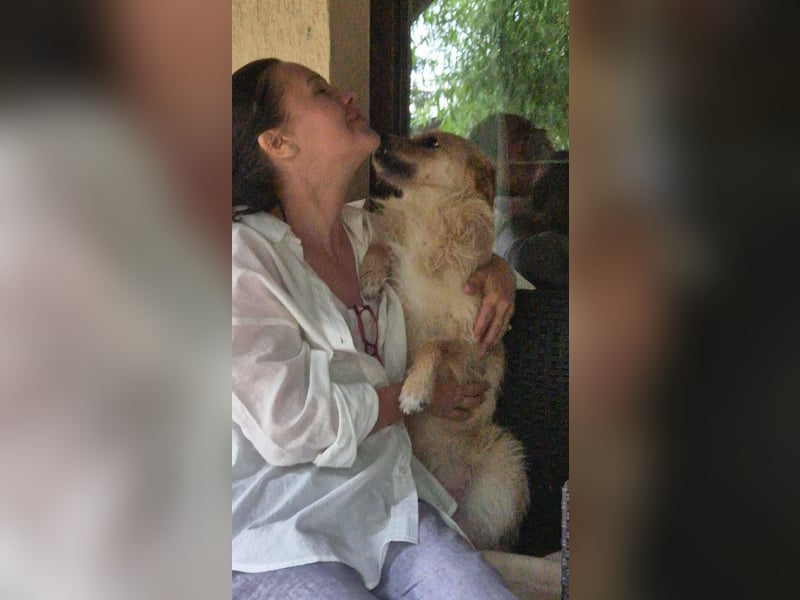 Missy - sanfte Schmusemaus sucht ihr Zuhause